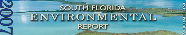 2007 South Florida Environmental Report, Vol. I